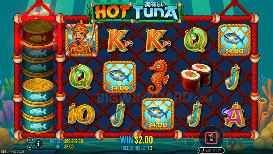 Live Dealer Casino Game